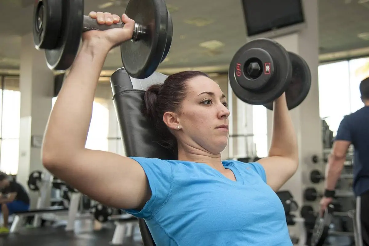 Sculpt and Shape