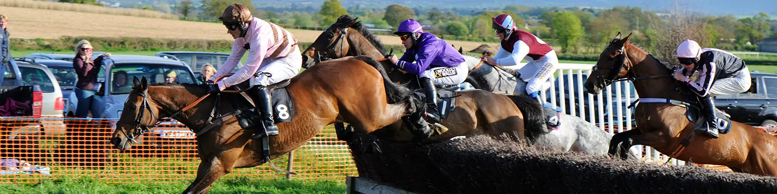 Wessex Area Point to Point