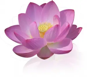 Association Ananda Garches