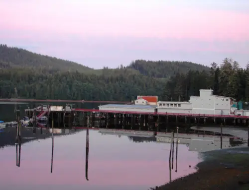 Winter Harbour Fishing Getaway