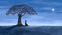 Serenity Yoga