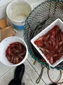 Fish-On Charters