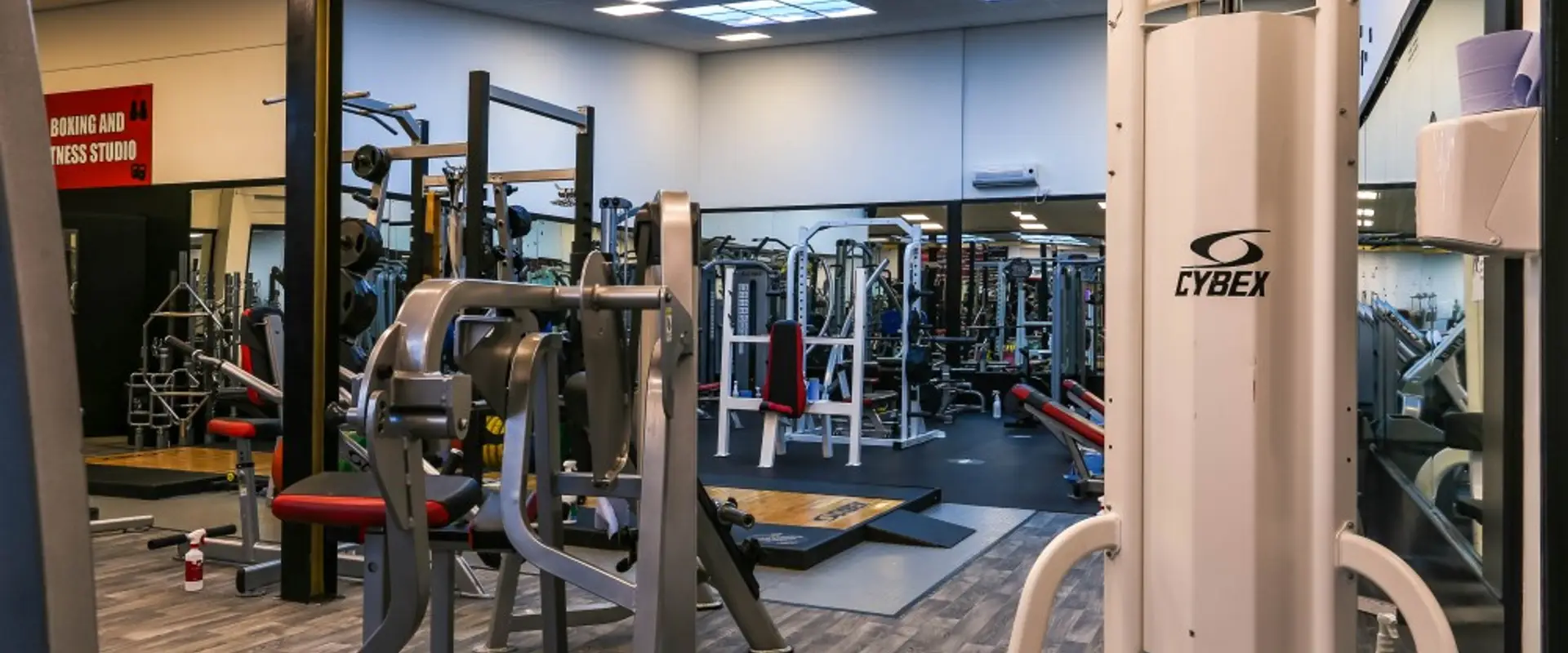 Physique Fitness