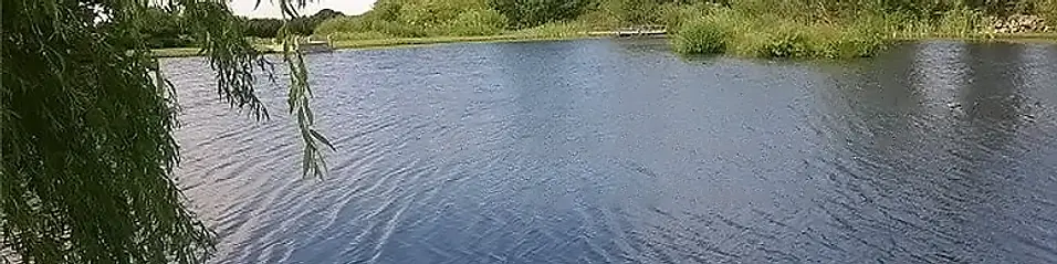 Tan-y-Mynydd Trout Fishery