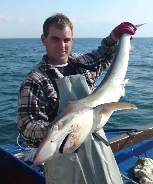 BJR Marine - Norfolk Sea Fishing Trips