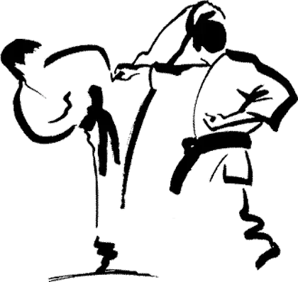 Shotokan Karate Academy