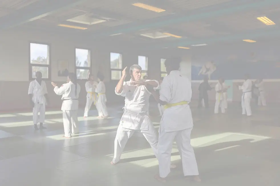 Karaté Uechi-Ryu À Aulnay-Sous-Bois