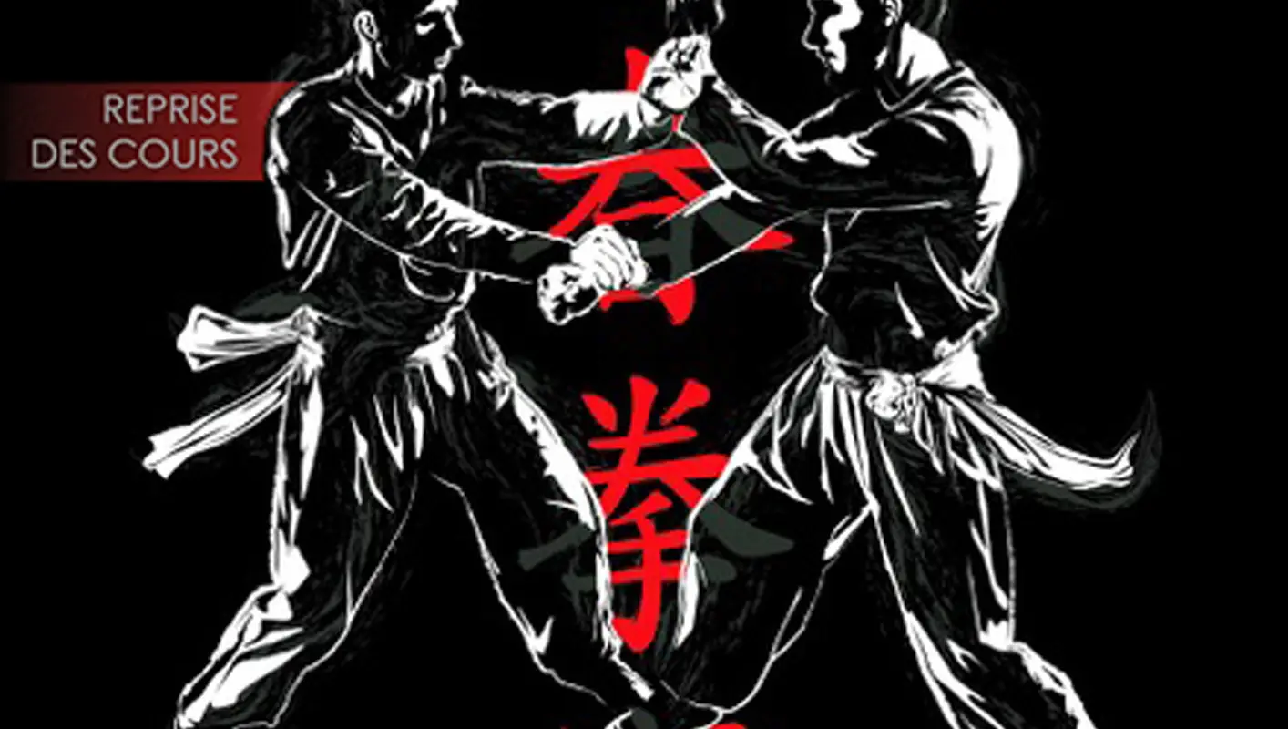 Wing chun bao - wing chun traditionnel Entre Deux Mers Bordeaux