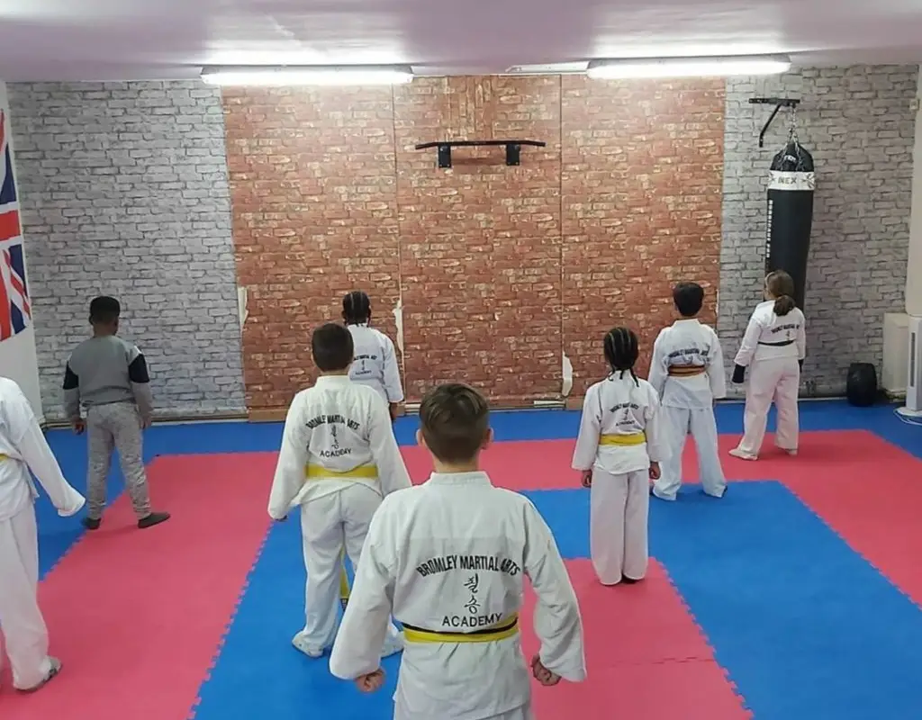 Bromley Martial Arts Academy