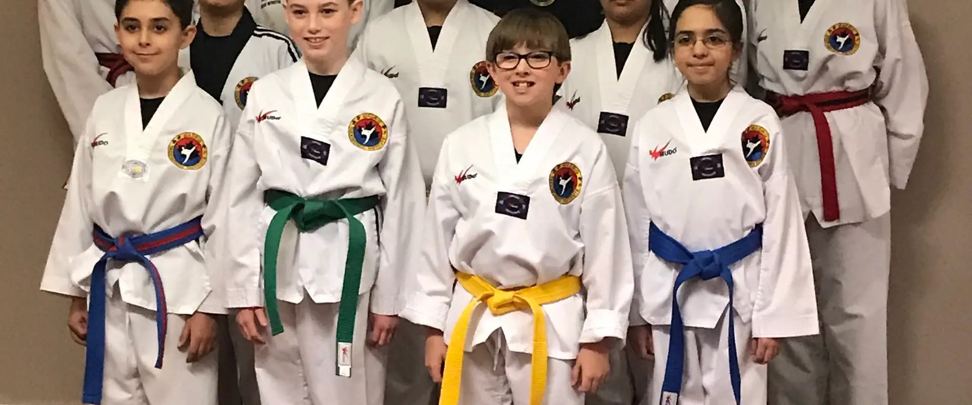 Madrid Taekwondo Institute
