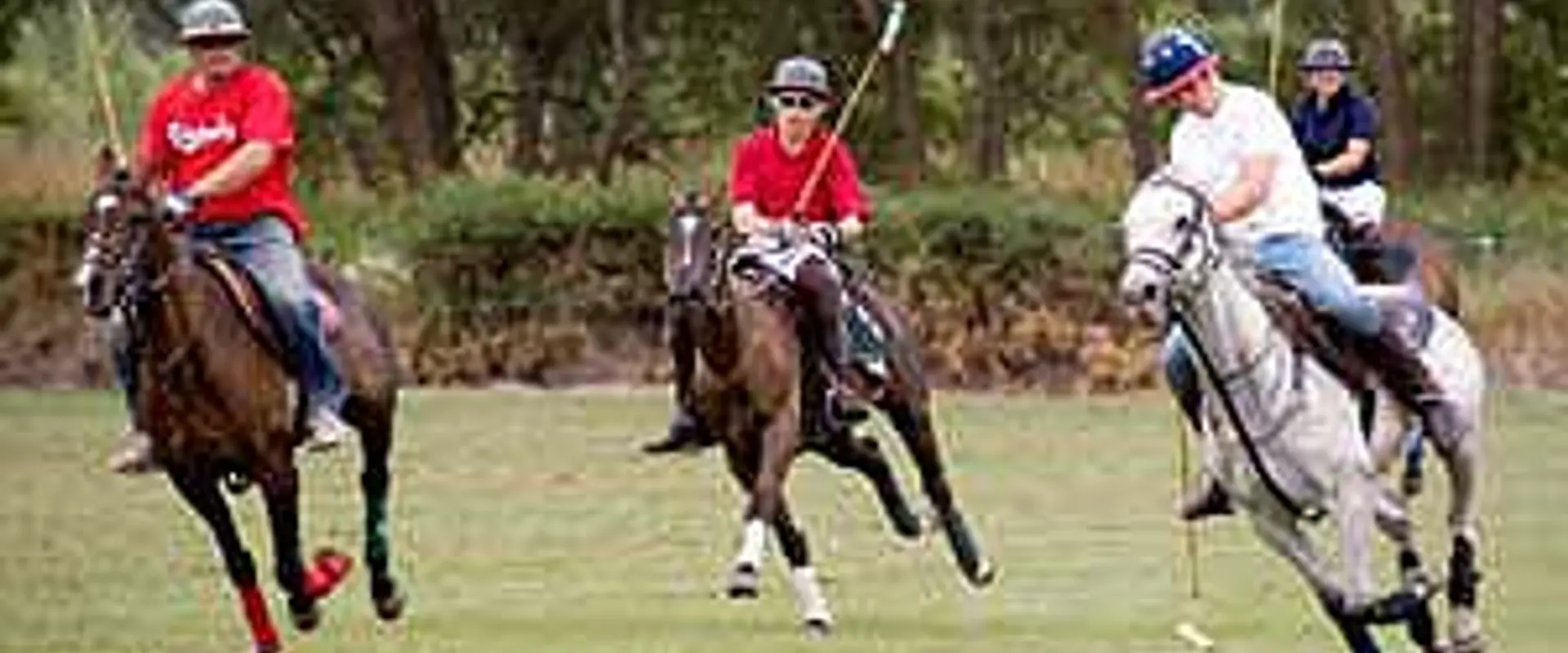 Blue Springs Polo