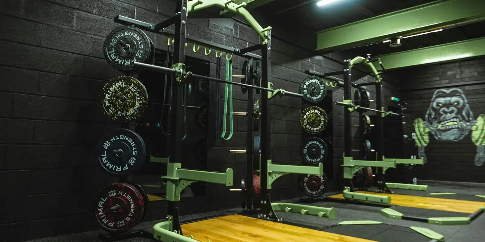 Gorilla Fitness