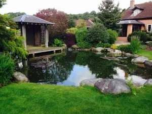 Carters koi centre