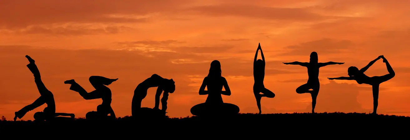 VY Yoga & Dance by Natural Yoga Classes