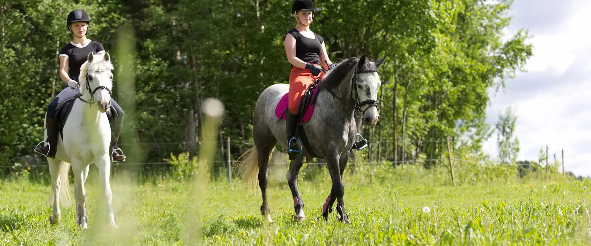Australian Baroque Riding Academy