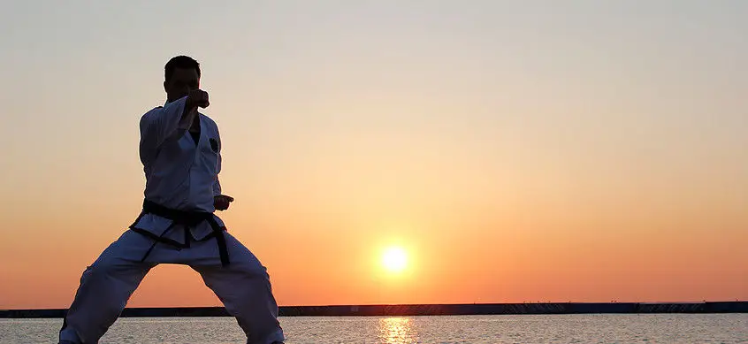 Tecumseh Taekwon Do