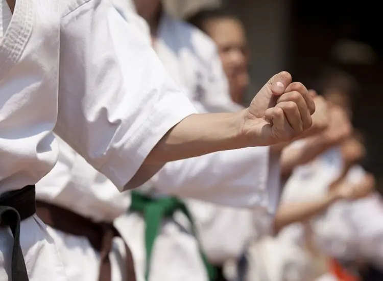 Multi Style Martial Arts Academy