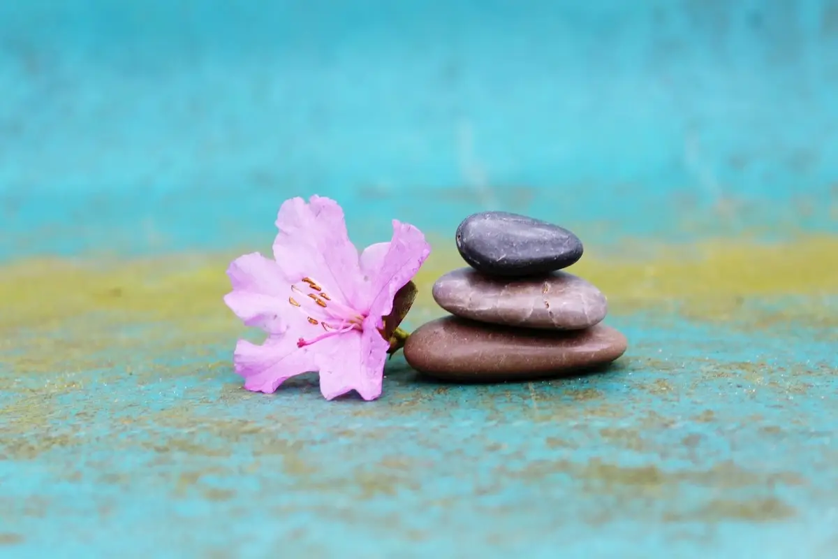 Haora Holistic Reflexology Massage Yoga