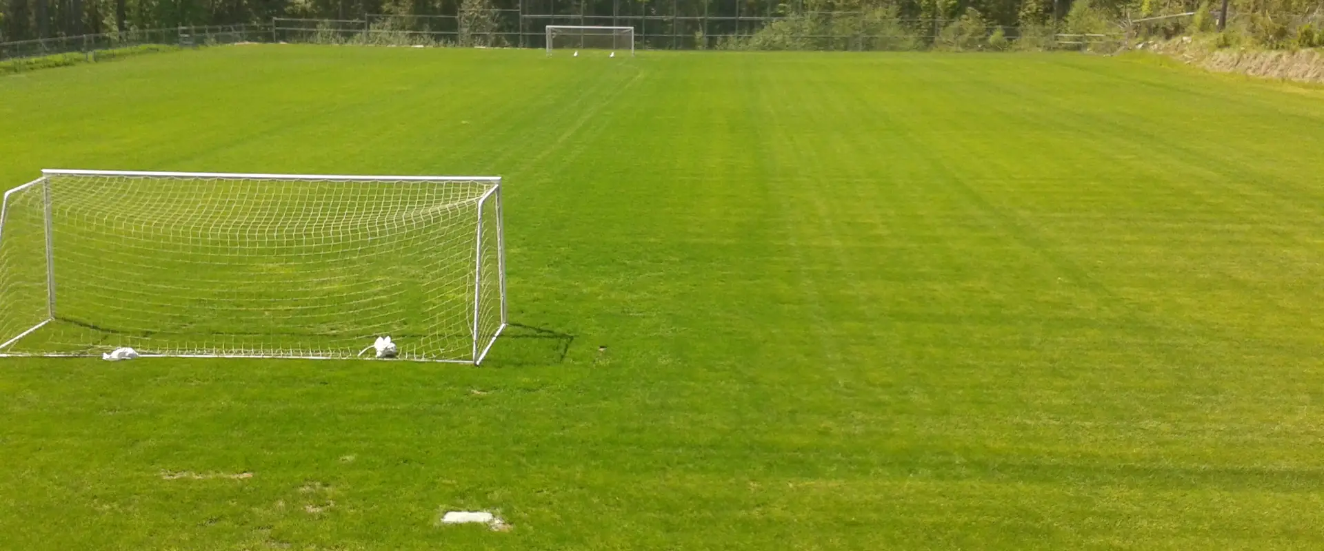 Lions Field