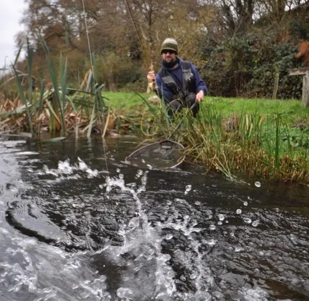 DG Fishing
