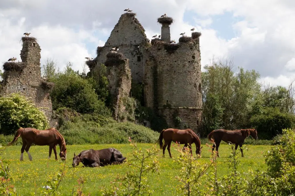 La Choinetiere