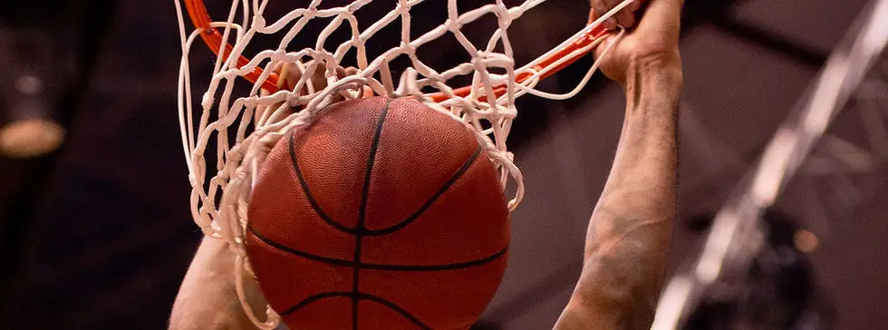 Sud Lyonnais Basket