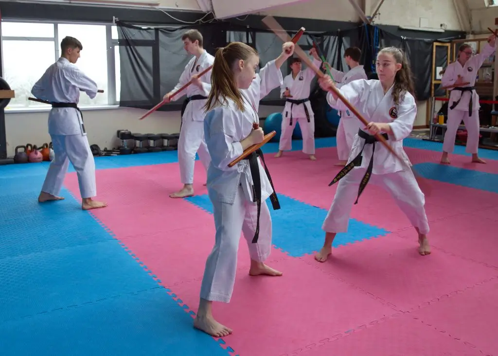Doryokuryu karate