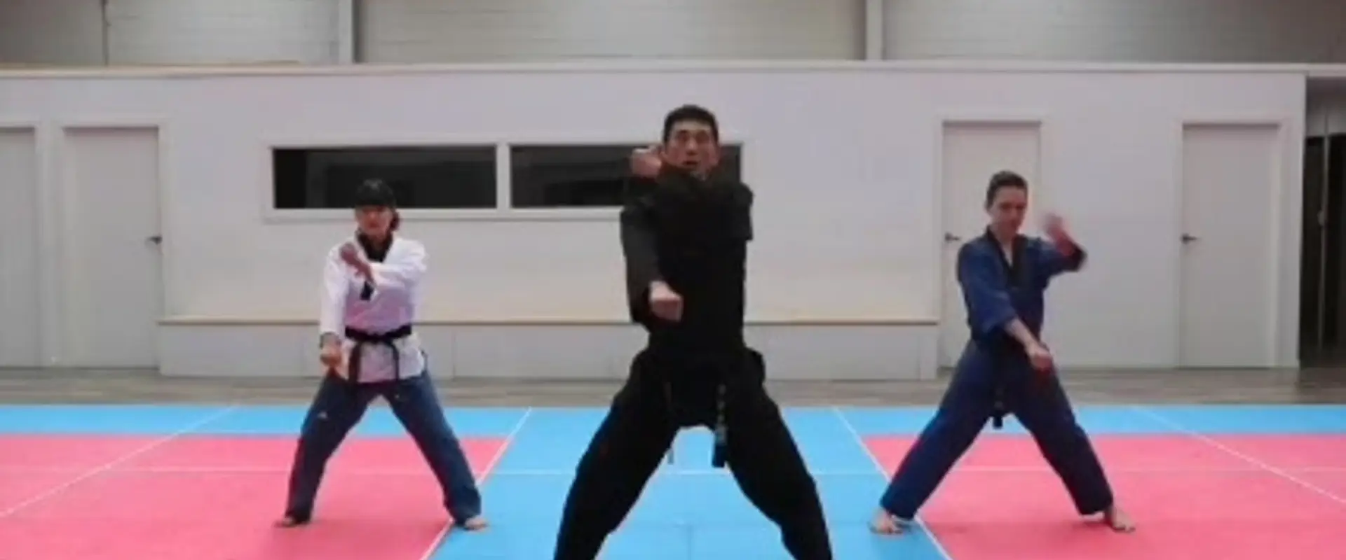 Tiger World Class Tae Kwon Do