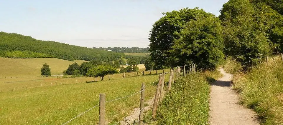 Beechwood Riding School