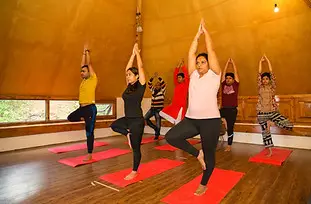 Pause n Learn Wellness Studio