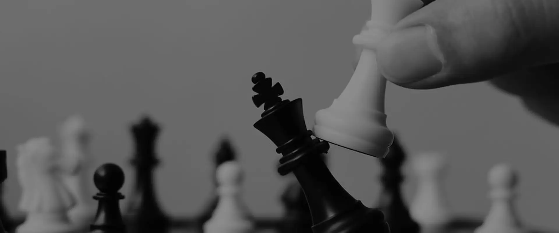 Chess Shoots Academy
