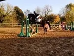 Equestrian Center Le Marouillet - Esat Unapei17