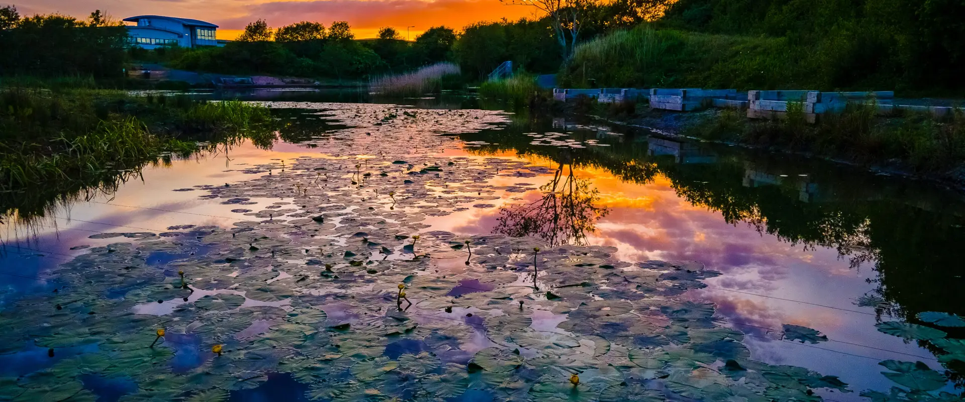 The Burley Pool