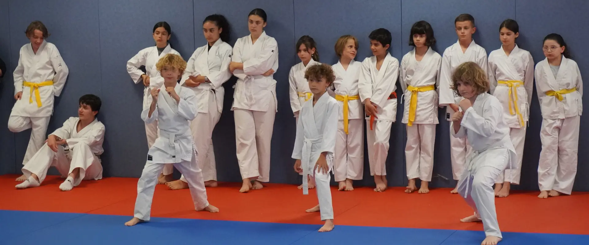 School Karate Sanary