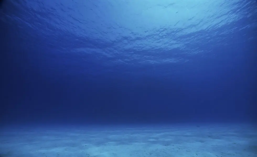 Bleu Marine Plongée