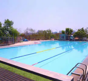 Fitso Gachibowli Dolphin, Swimming