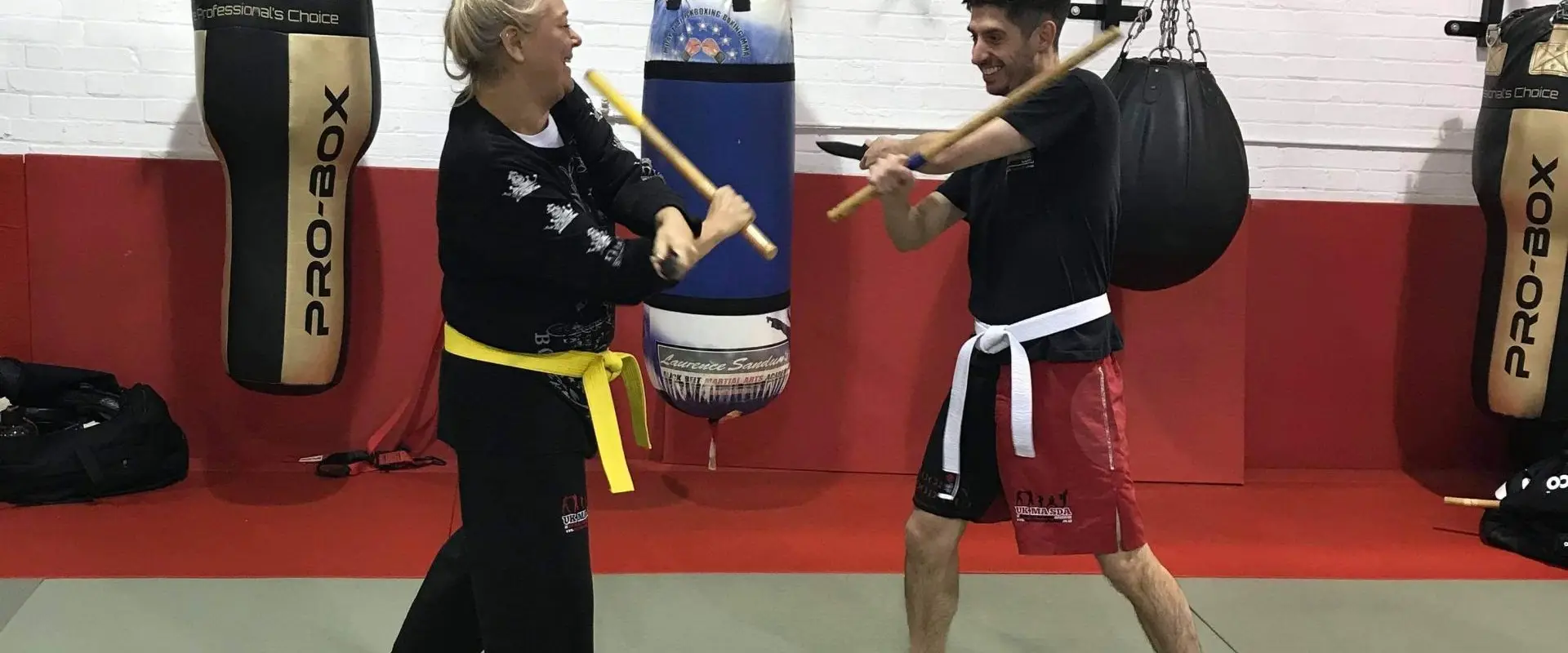 Laurence Sandum's Educational Martial Arts Academy