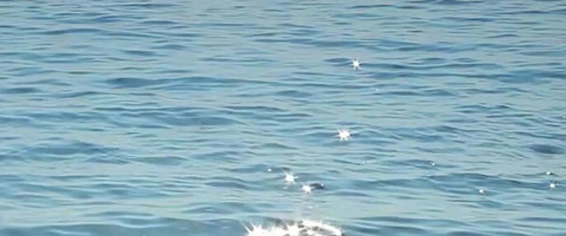 Vie en mer