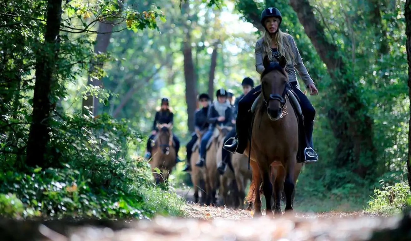 Equestrian Center Touquet Paris-Plage