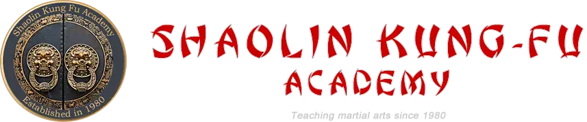 Shaolin Kung Fu Academy