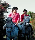 Partridge Farm Equestrian Centre
