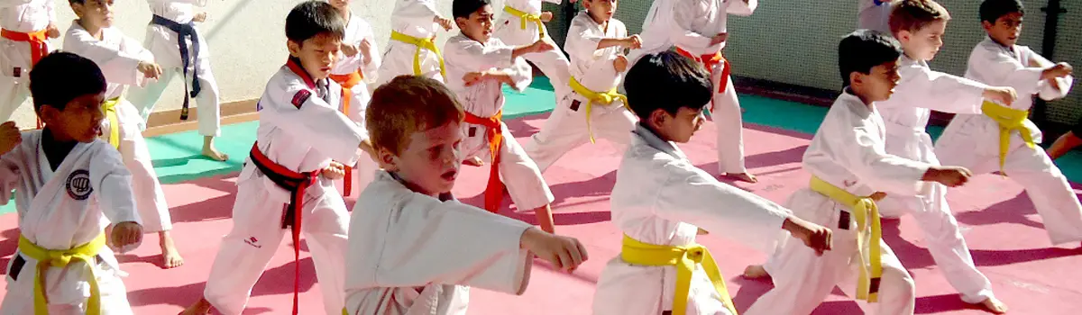Japan Karate Do Nobukava Ha Shitoriyu KAI(Traditional Karate & Self Defence)