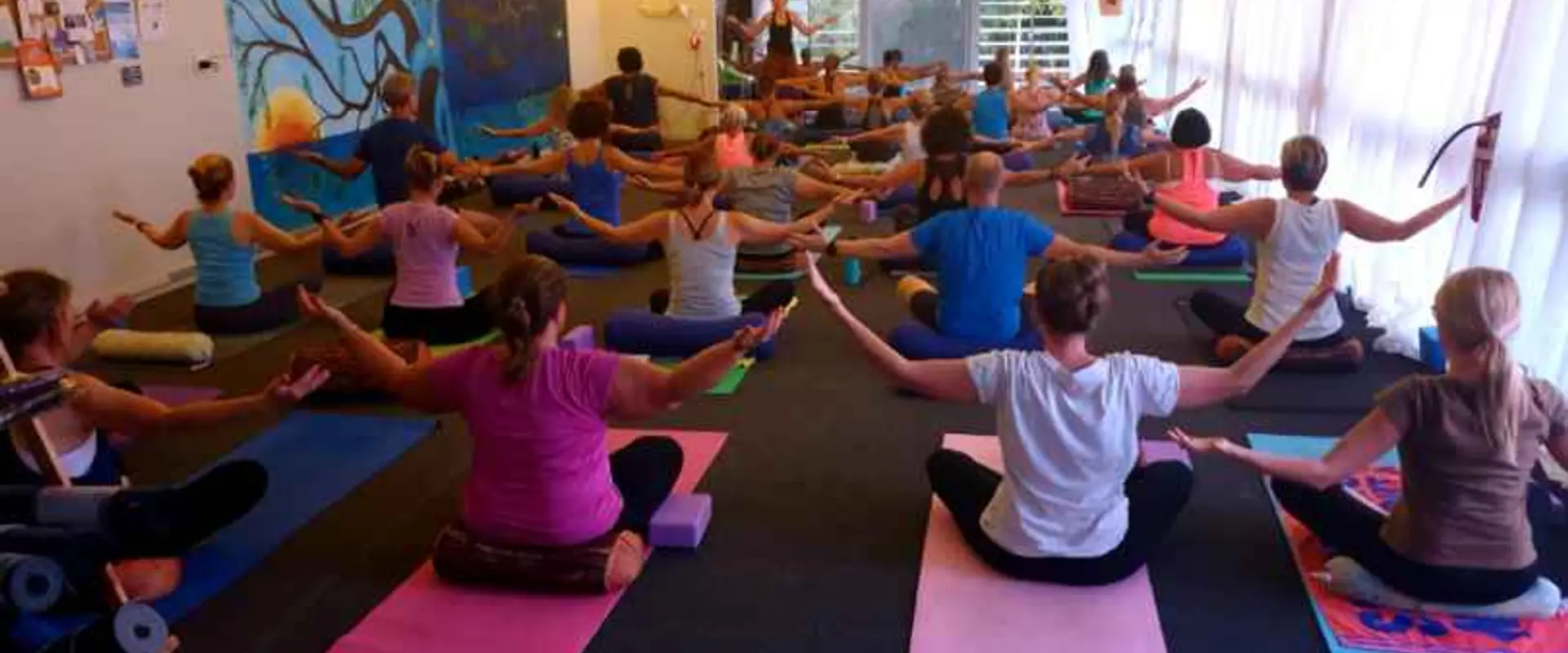 Ocean Tree Yoga Studio