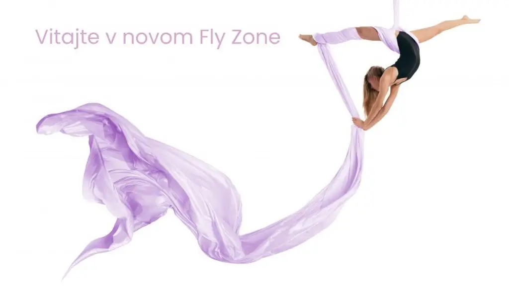 Fly Zone
