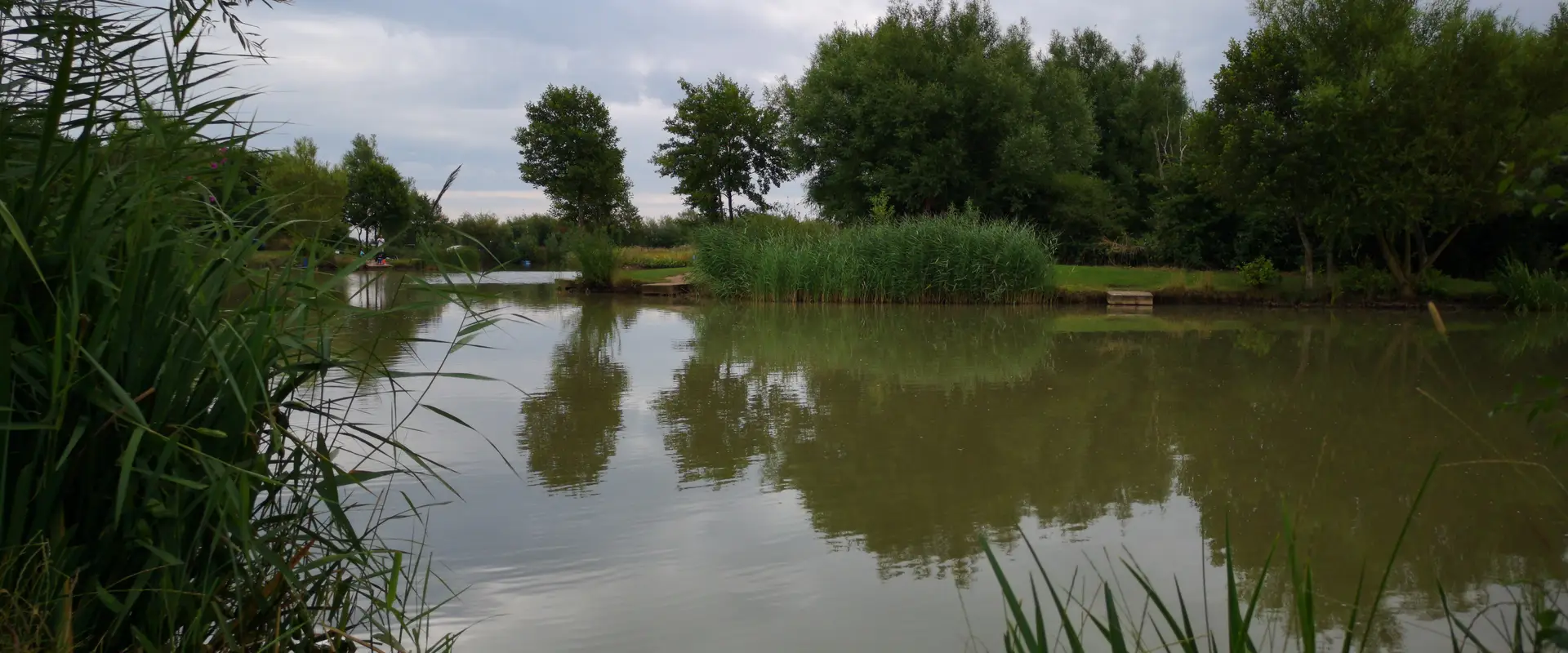 Mescar Fisheries