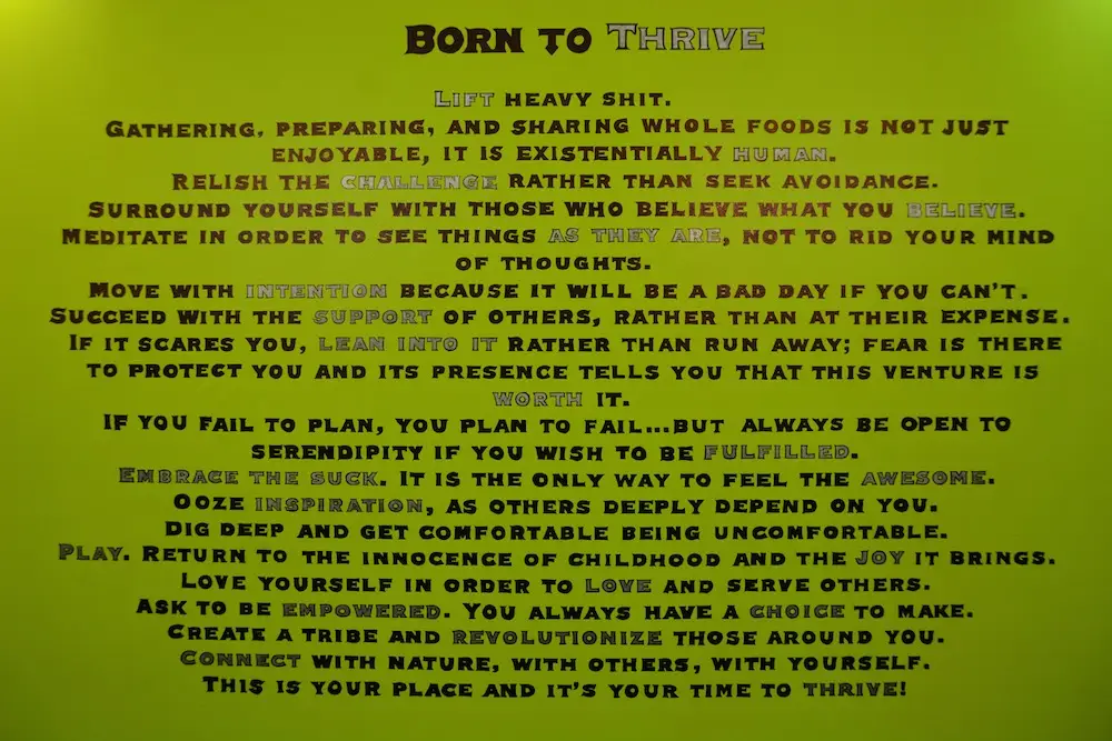 Thrive Strength And Wellness