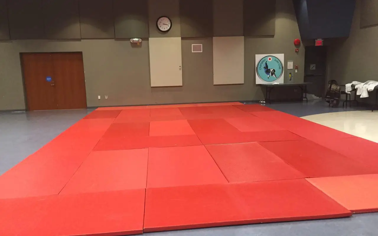 Champion judo club