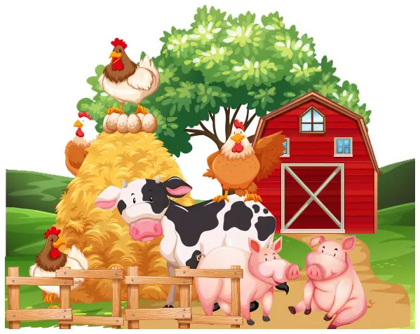 Reddish Vale Farm