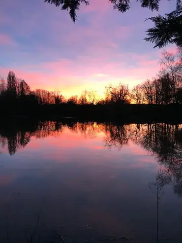 The Willows French Carp Fishing Complex