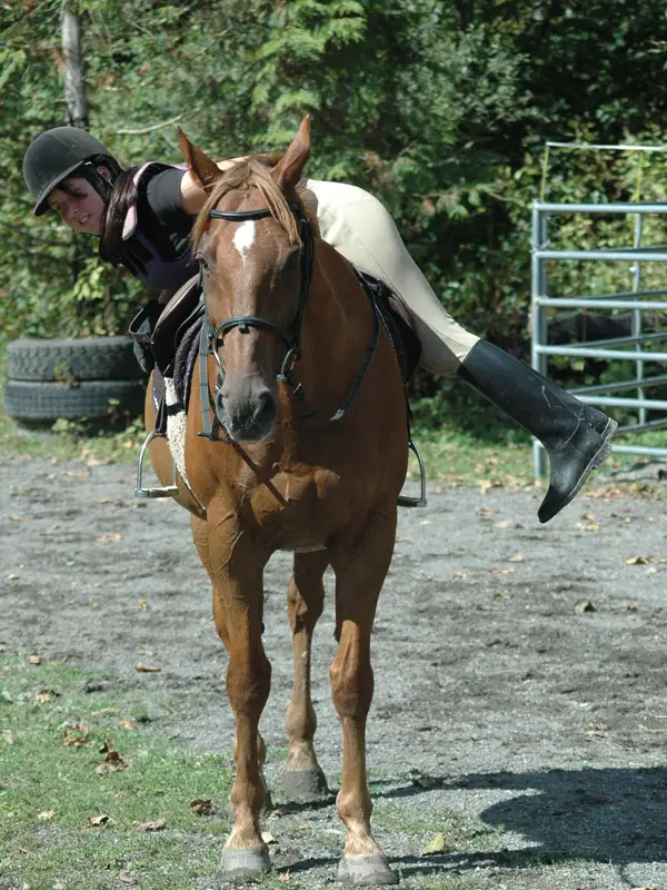 Woodside Riding School